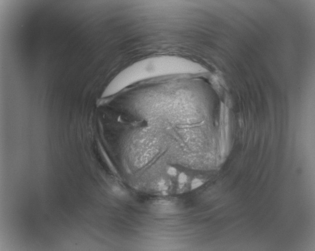 X0000068900236200605192209