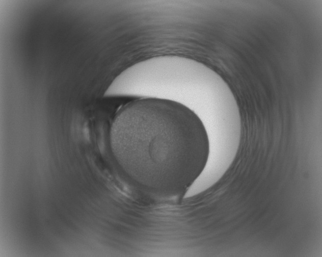 X0000068900237200605192209