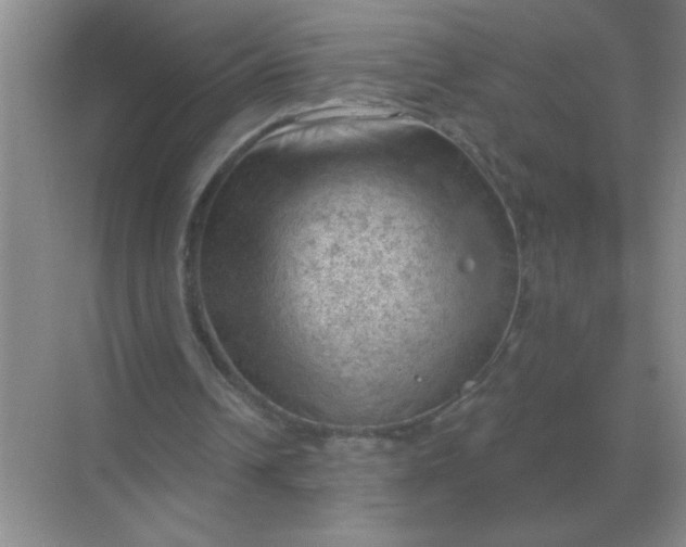 X0000068900242200605192208