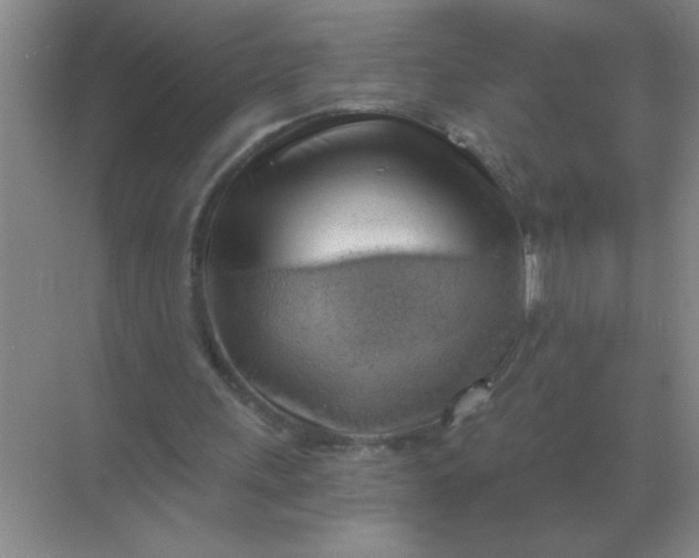X0000068900243200605192208
