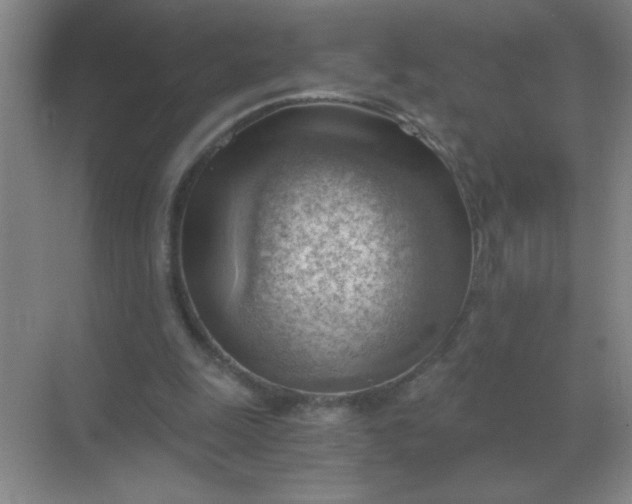 X0000068900247200605192208