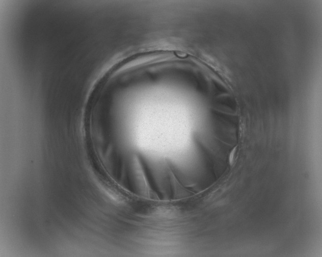 X0000068900248200605192208