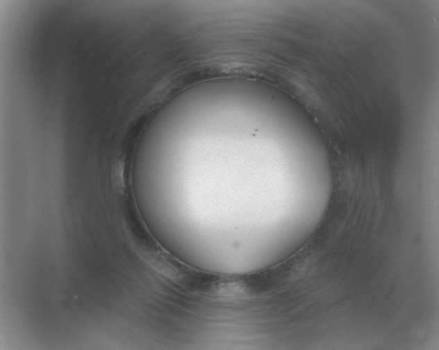 X0000068900262200605192208