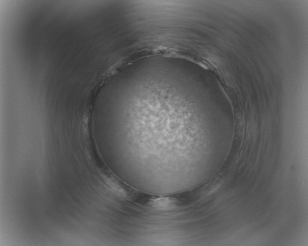 X0000068900269200605192208