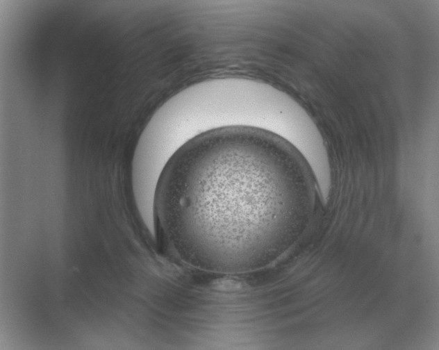 X0000068900272200605192208