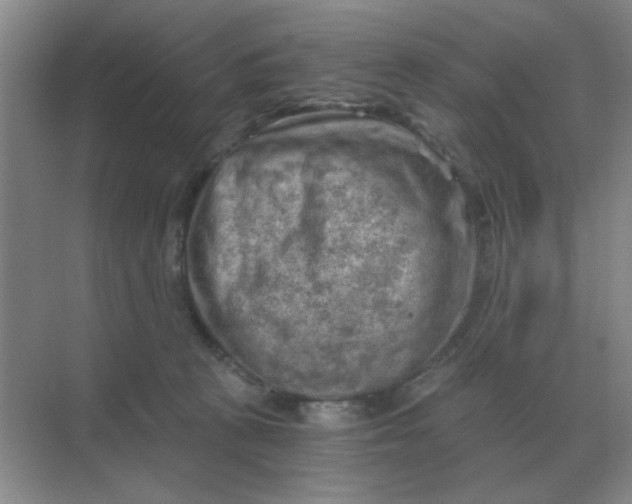 X0000068900273200605192208