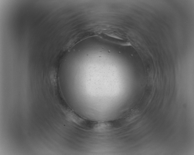 X0000068900274200605192208