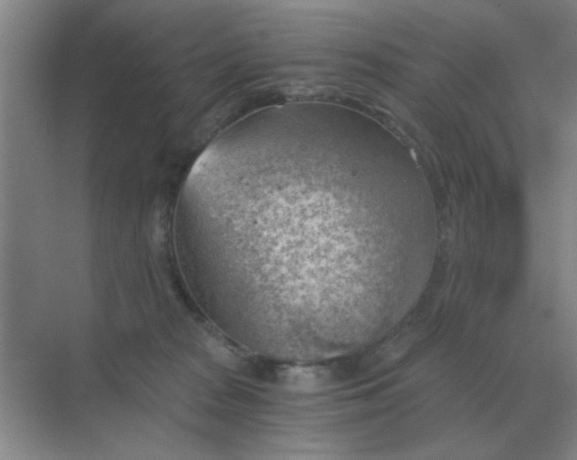 X0000068900277200605192209