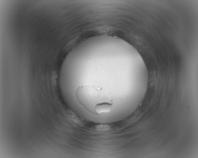X0000068900279200605192209