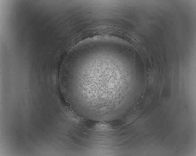 X0000068900283200605192209