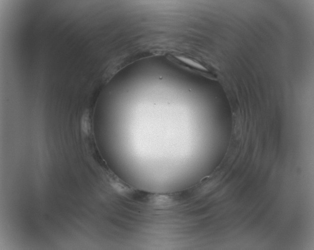 X0000068900287200605192209