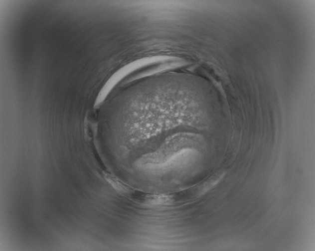 X0000068900288200605192209
