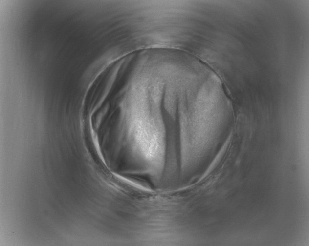 X0000068900290200605192208