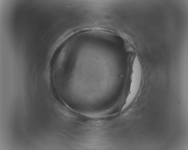 X0000068900295200605192208