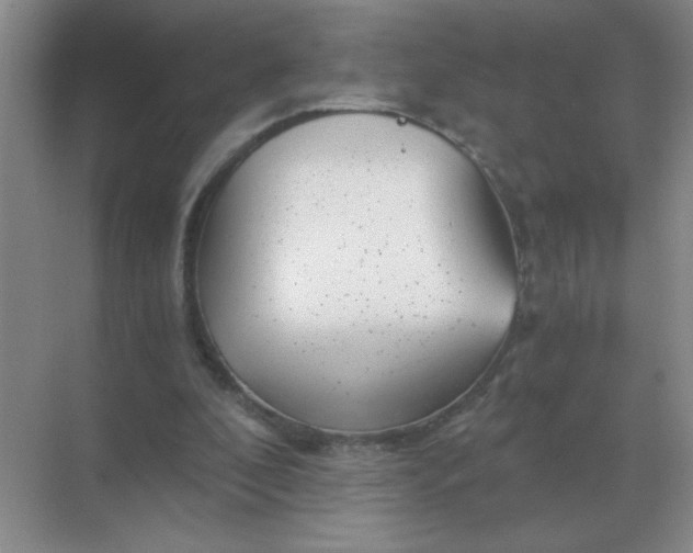 X0000068900296200605192208