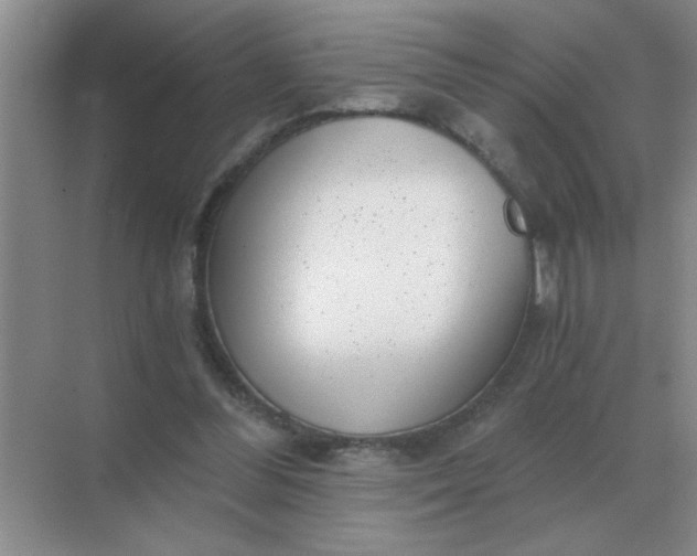 X0000068900300200605192208
