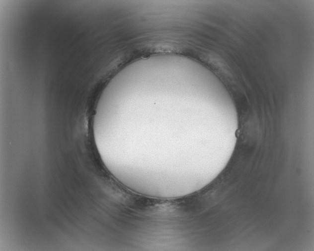 X0000068900310200605192208