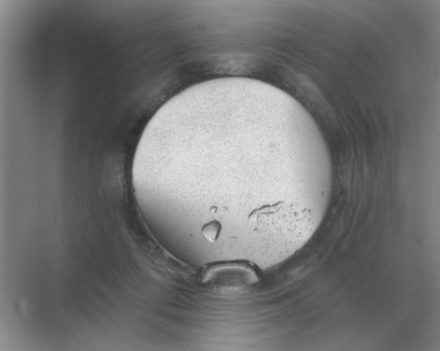 X0000068900312200605192207
