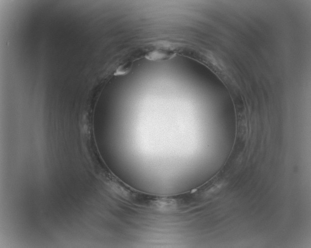 X0000068900317200605192207