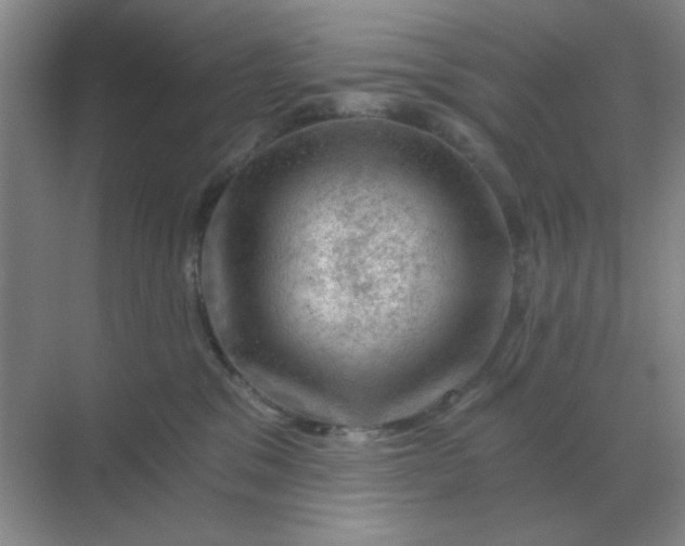 X0000068900329200605192207