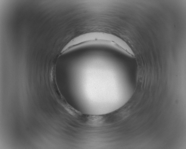 X0000068900334200605192207