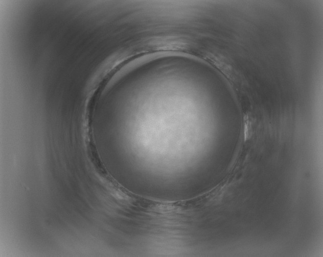 X0000068900339200605192206
