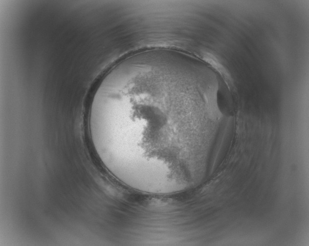 X0000068900346200605192206