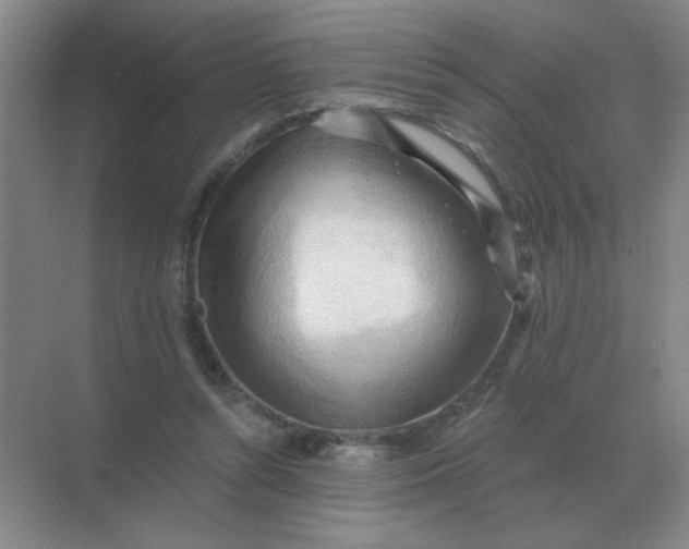 X0000068900352200605192207