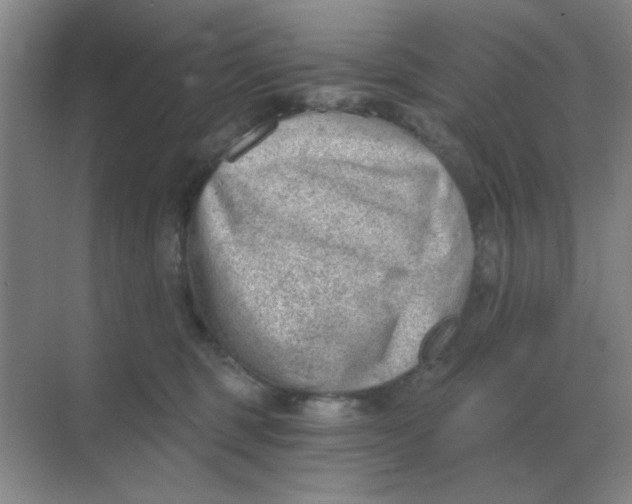 X0000068900375200605192207