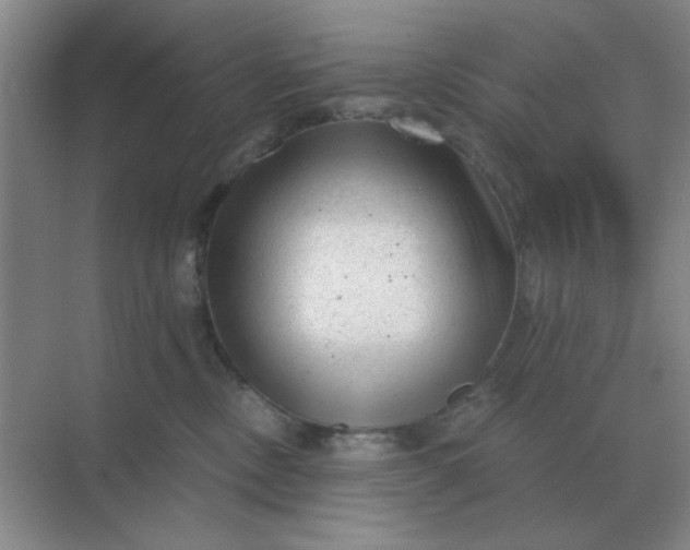 X0000068900378200605192207