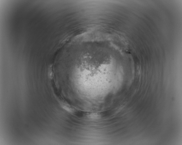 X0000068900383200605192207
