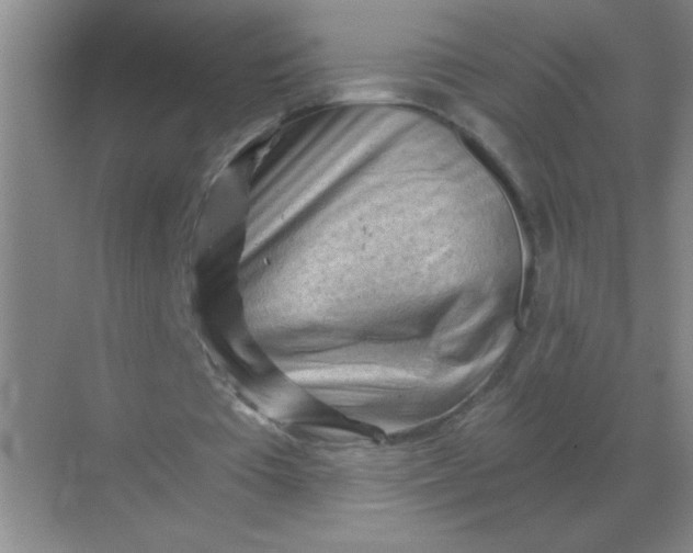 X0000068900385200605192206