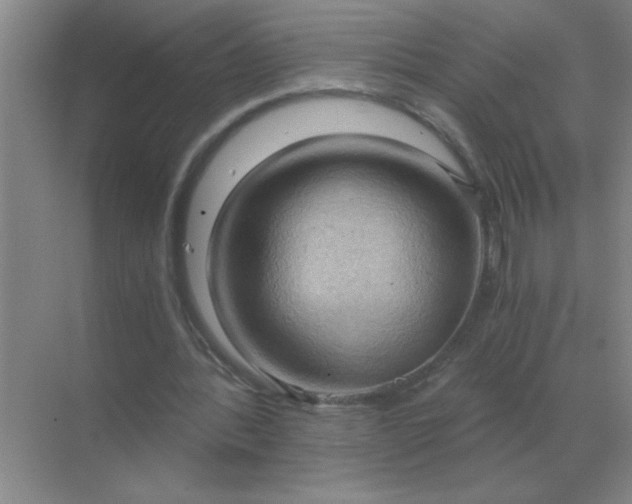 X0000068900388200605192206