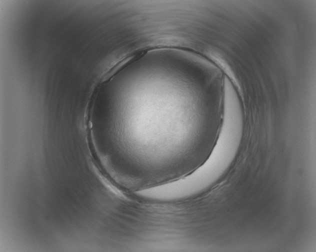 X0000068900389200605192206