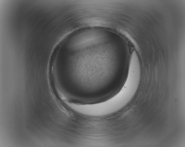 X0000068900391200605192206