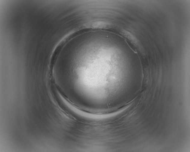 X0000068900392200605192206