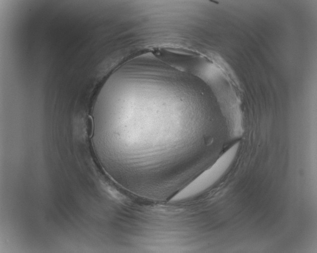 X0000068900393200605192206