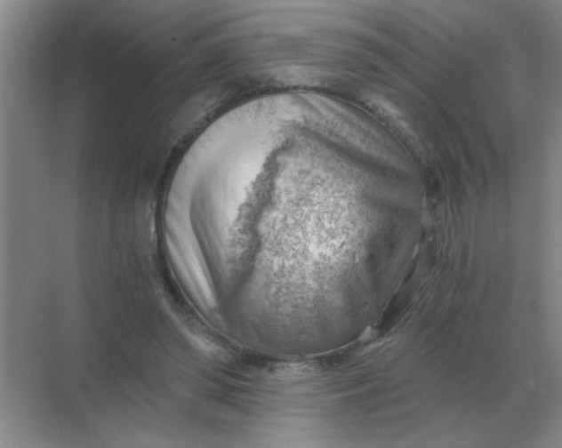 X0000068900398200605192206