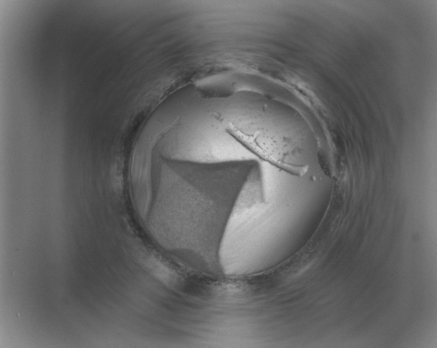 X0000068900402200605192206