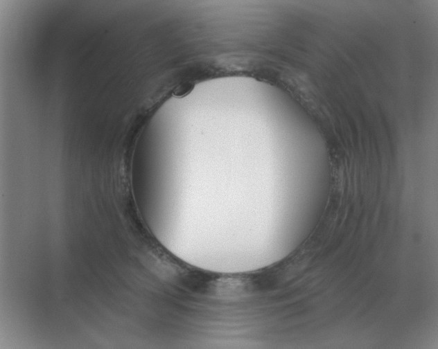 X0000068900418200605192206
