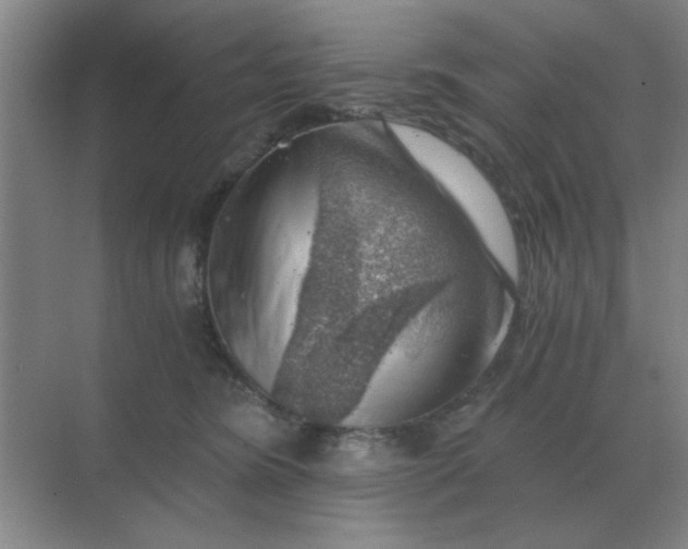 X0000068900420200605192206