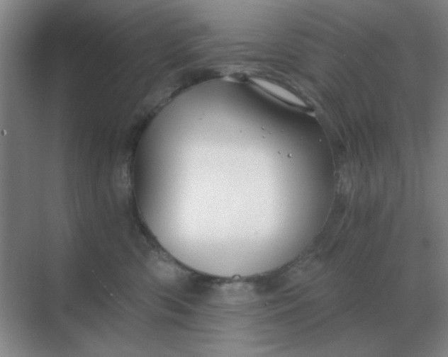 X0000068900426200605192206