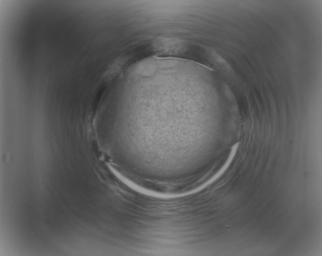 X0000068900429200605192206