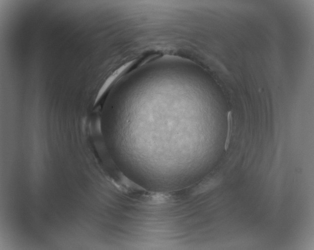 X0000068900432200605192205