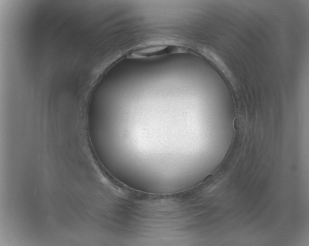 X0000068900433200605192205