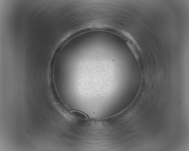 X0000068900439200605192205