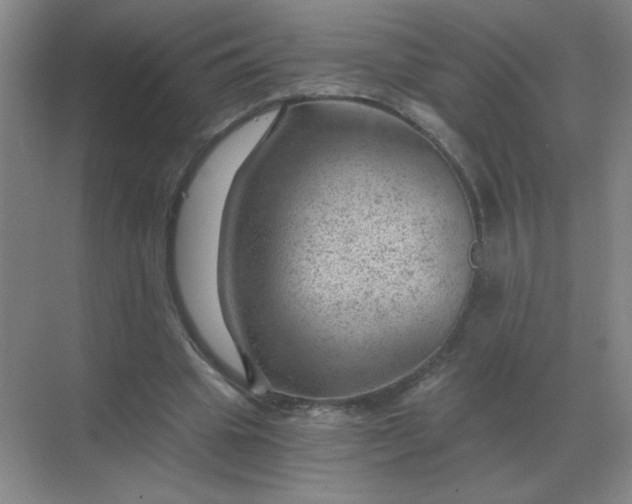 X0000068900441200605192205