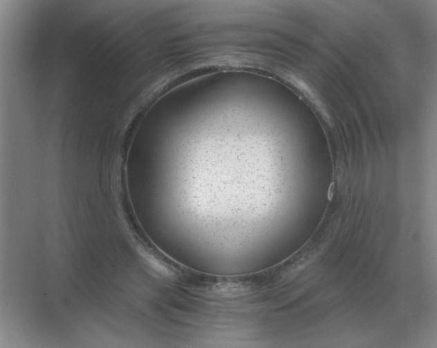 X0000068900445200605192205