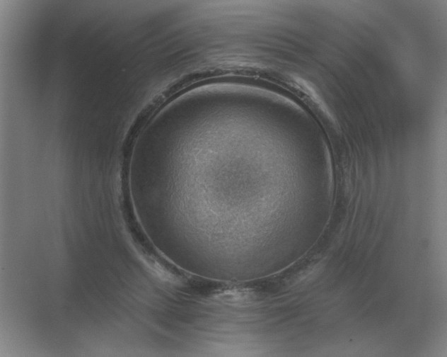 X0000068900447200605192205