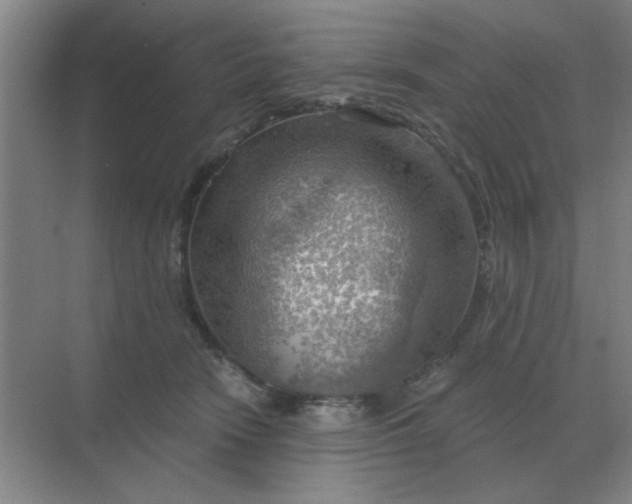 X0000068900466200605192205